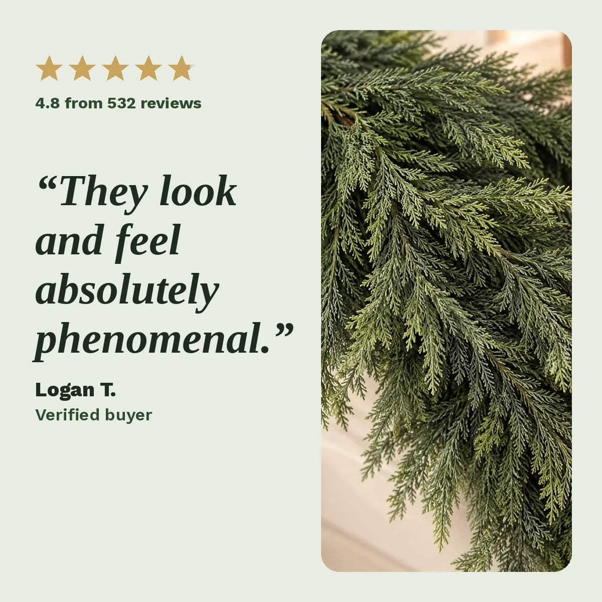 Verified 5-star review