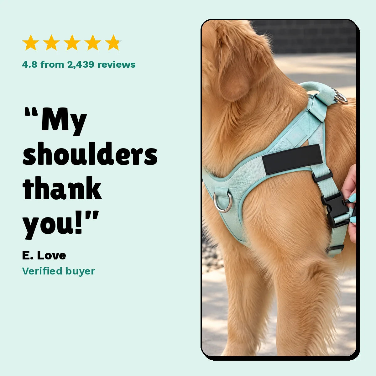 Verified 5-star review
