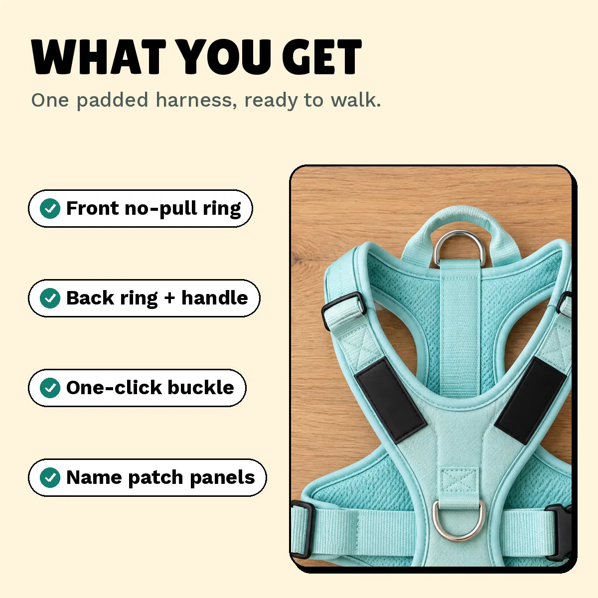 What you get: one padded StrideFit harness